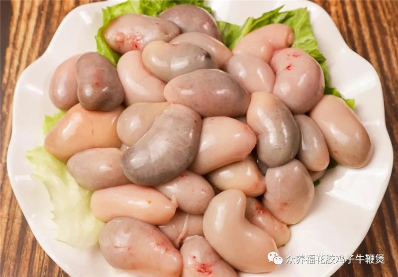 0 (3)_副本.jpg